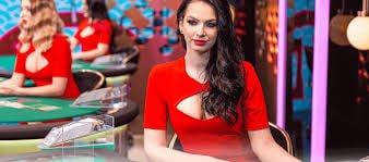 rr123 live casino dan permainan slot visual menarik